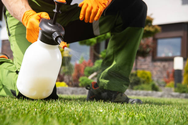 Best Flea Control Services  in Lakes Of The Four Seasons, IN