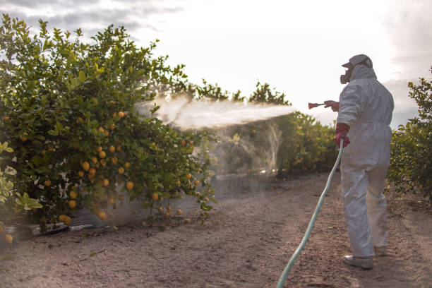 Reliable Lakes Of The Four Seasons, IN Pest Control Solutions