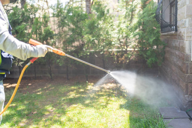 Best Ant Control Services  in Lakes Of The Four Seasons, IN