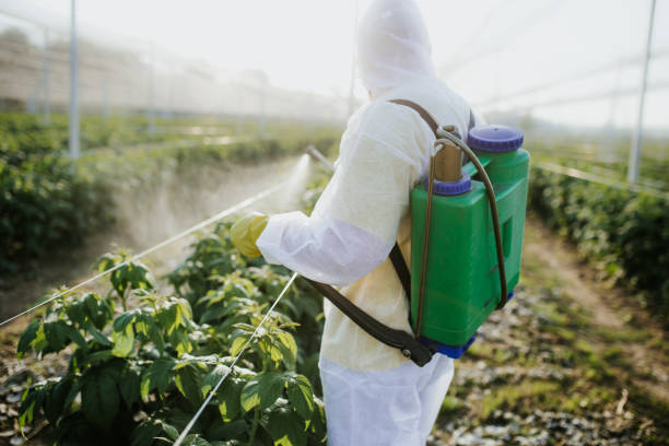 Best Exterminator Services  in Lakes Of The Four Seasons, IN